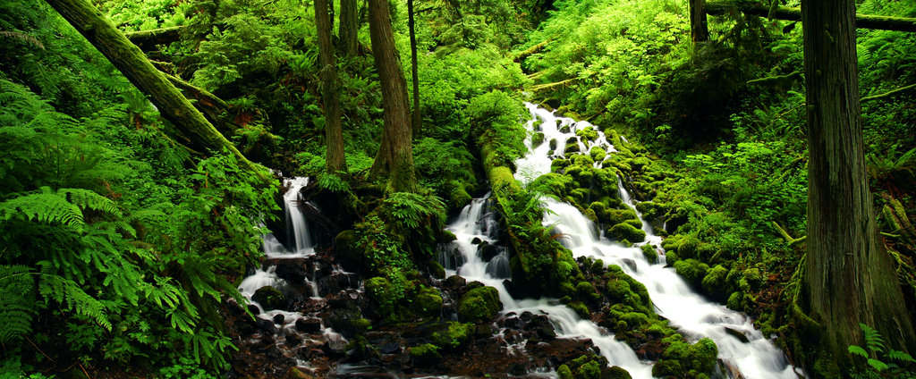 Preserve the Wonders of the Columbia Gorge