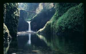 Punchbowl Falls
