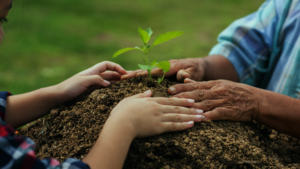 Leadership & Impact Fund: Scaling Local Solutions