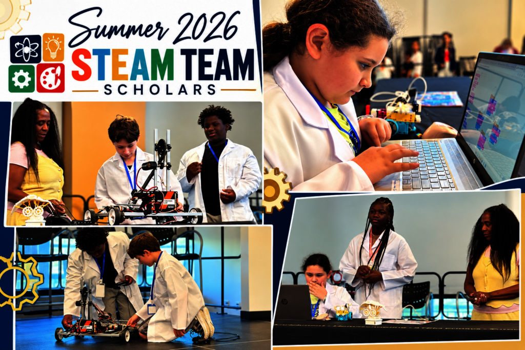 STEAM Team Summer Scholars