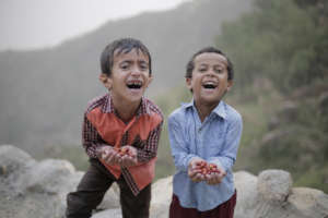A GlobalGiving-funded project in Yemen by SMEPS