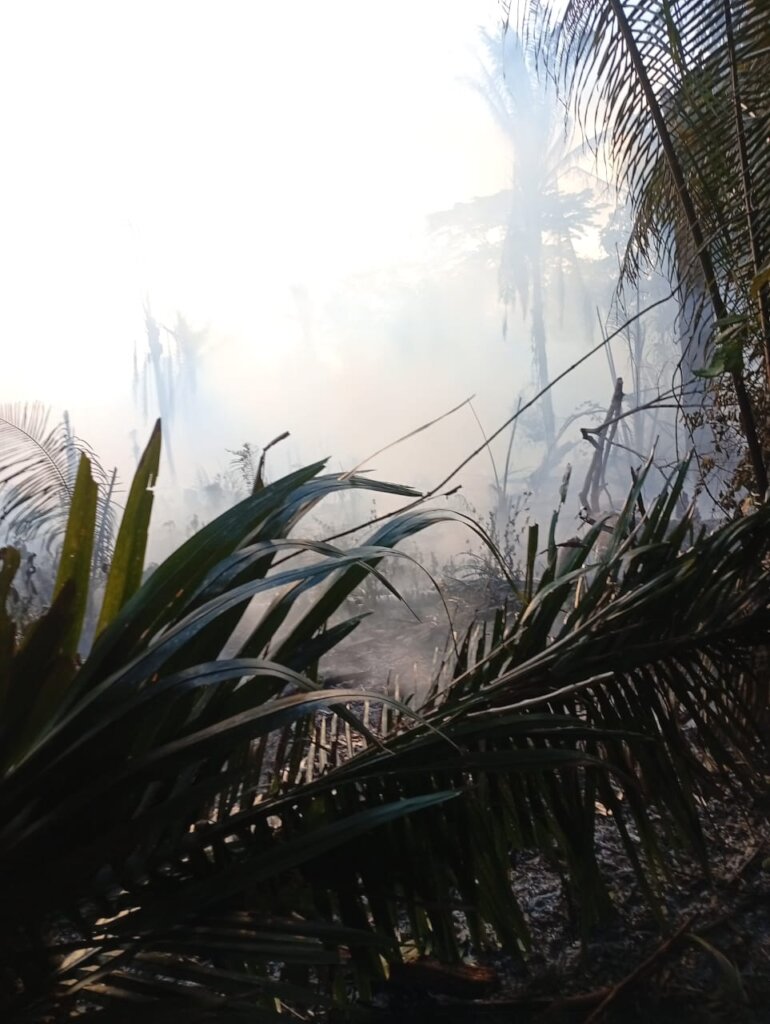 Fire on Boundary Line