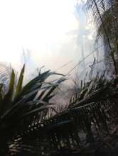 Fire on Boundary Line