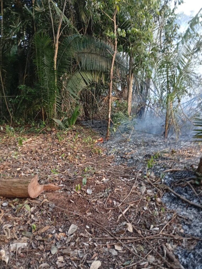 Fire on Boundary Line