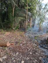 Fire on Boundary Line