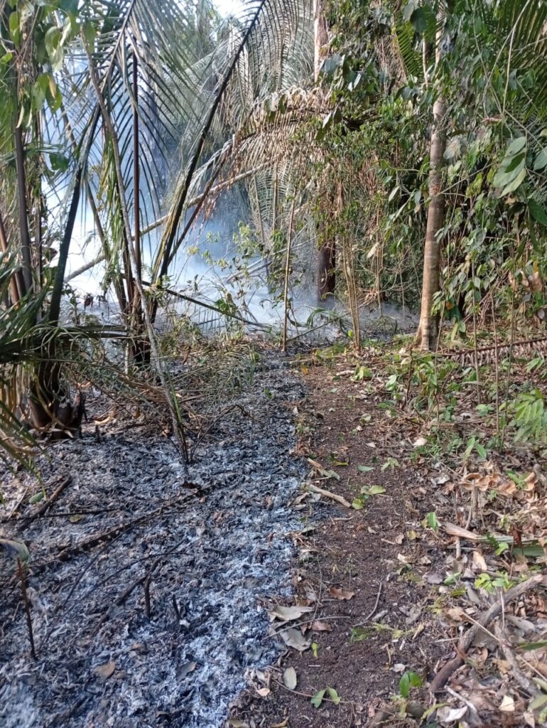 Fire on Boundary Line
