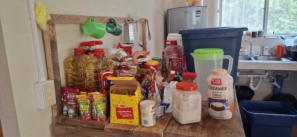 Preventing Wildfires: Protecting Belize's Forests