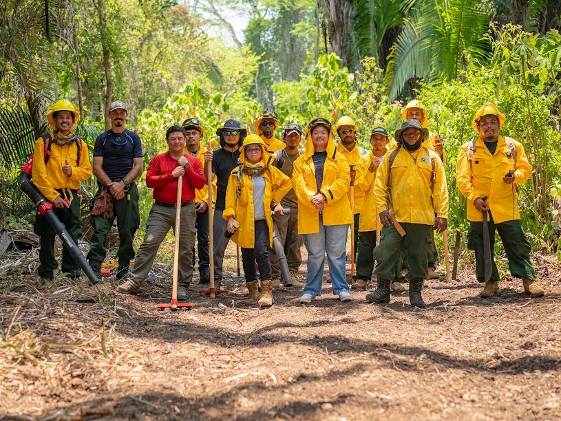 Preventing Wildfires: Protecting Belize's Forests