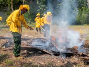 Preventing Wildfires: Protecting Belize's Forests