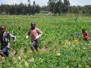 David, Dikon and Esther run through the fields