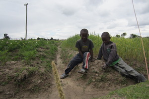 Kids at the Farm
