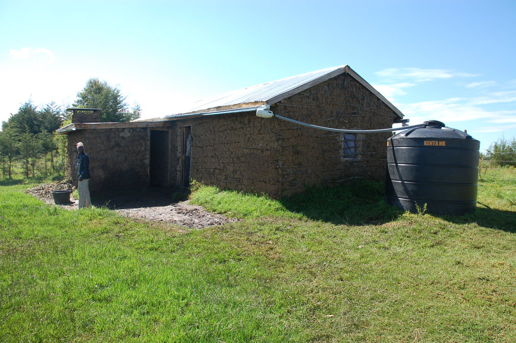 Help buy a single-mum a farm