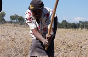 Help buy a single-mum a farm
