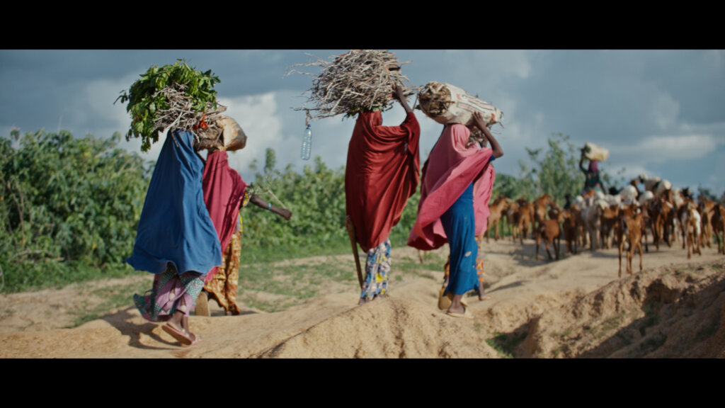 Dying for Water: End Preventable Deaths in Nigeria