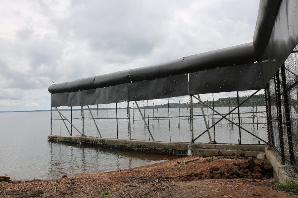 A section of the re-erected HSE fence