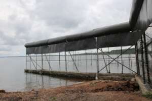 A section of the re-erected HSE fence