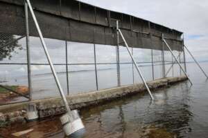 Part of the re-inforced fence structure