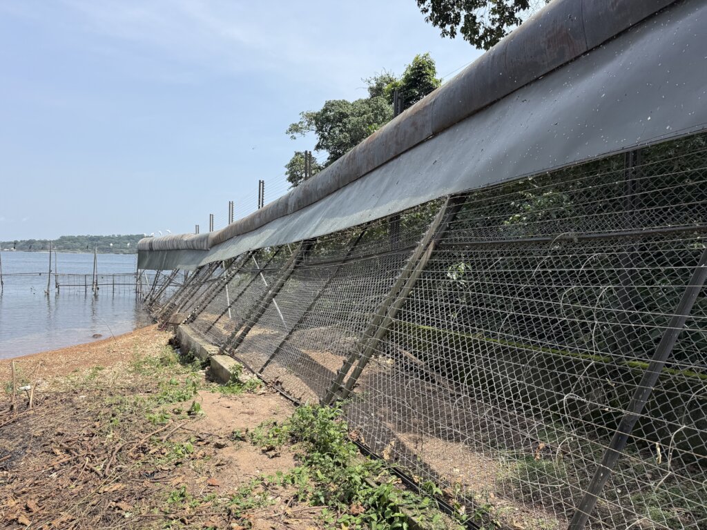 Emergency Repairs of the Chimpanzee Fence