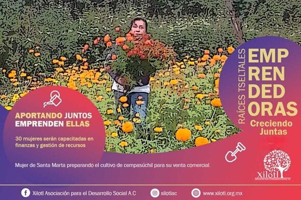 Emprendimientos femeninos indigenas en Chiapas