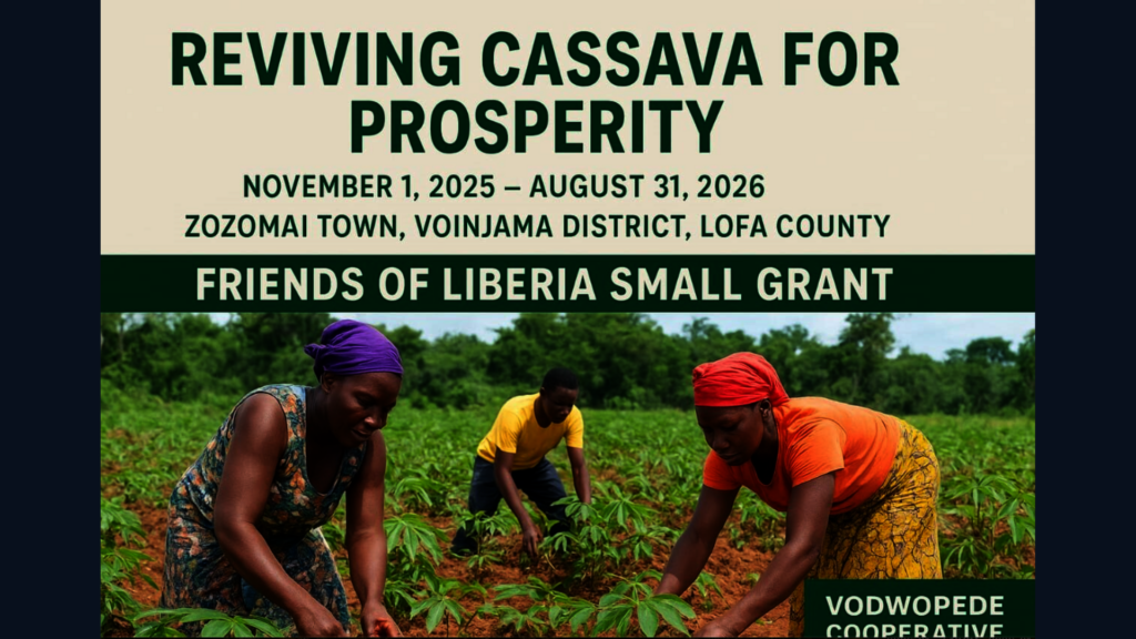 10 Community-led Small Grants for Liberia