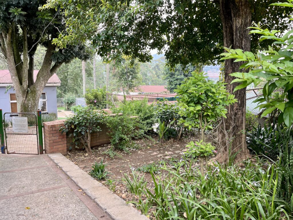 Essential Care for Shelter Dogs & Cats in Eswatini