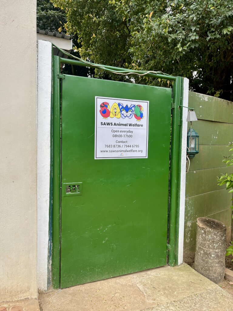 Essential Care for Shelter Dogs & Cats in Eswatini