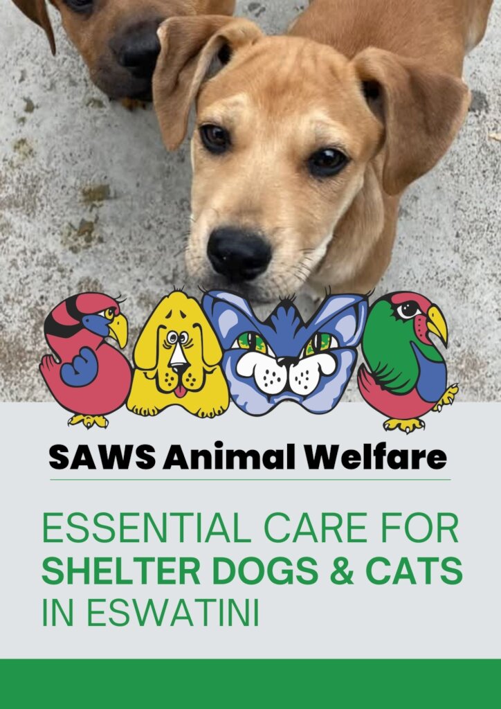 Essential Care for Shelter Dogs & Cats in Eswatini