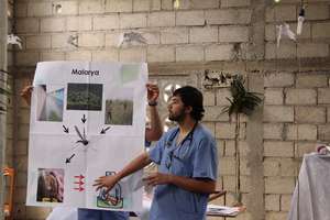Illustrating malaria with visual aids