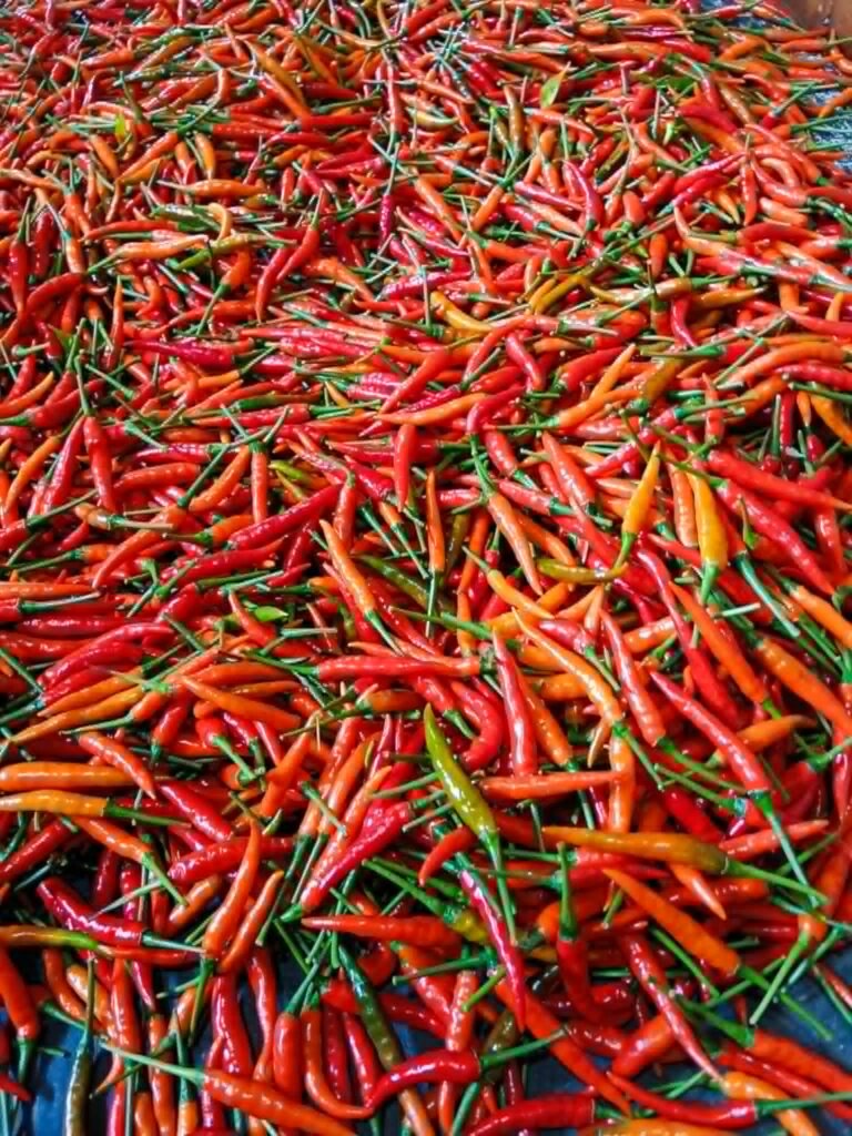 Chili