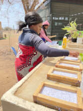 Jobs for 15 Women in South Africa, for Elephants!