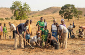 Community Tree Planting for a Greener Future