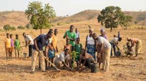 Community Tree Planting for a Greener Future