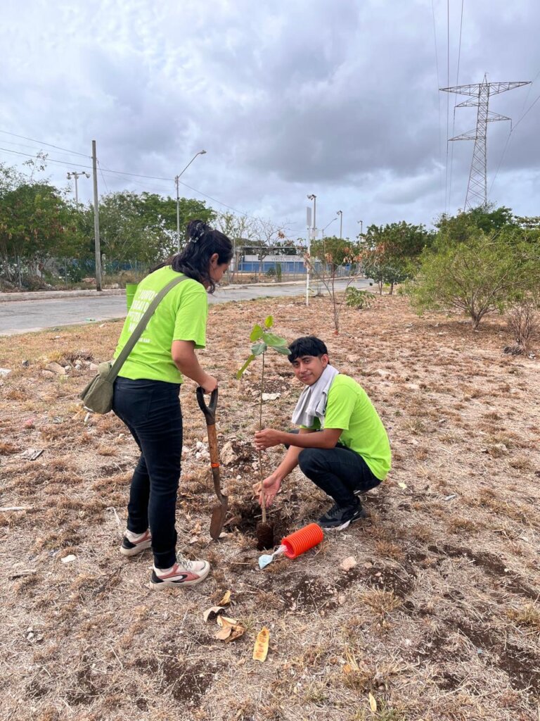 ALBERTO PLANTING TREES