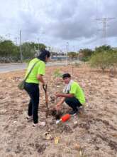 ALBERTO PLANTING TREES