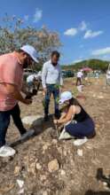 Grow 10,000 Native Trees to Cool Merida