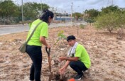 Help Alberto Plant 5,000 Native Trees in Merida!