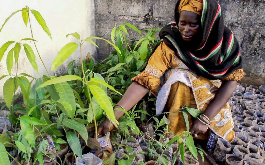 Atlantic Slave Memorial Initiative