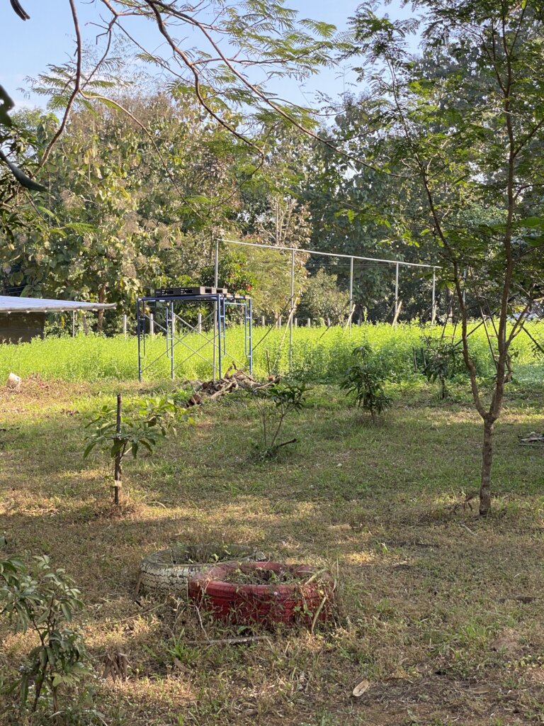 Become an Everyday Hero: Protect Warm Heart's Home