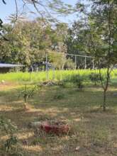 Framing a Greenhouse for vegetables