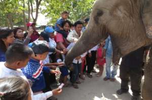 Kids and adults meet Lucky the elephant