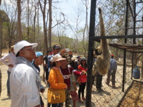 Meeting an endangered gibbon for the first time!