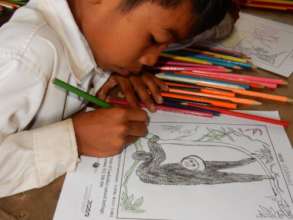 Student draws an Endangered gibbon