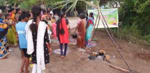 Pongal celebration