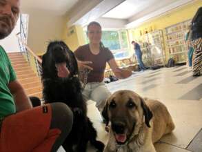 Thor at a specialized vet, 80km away from Dumbrava