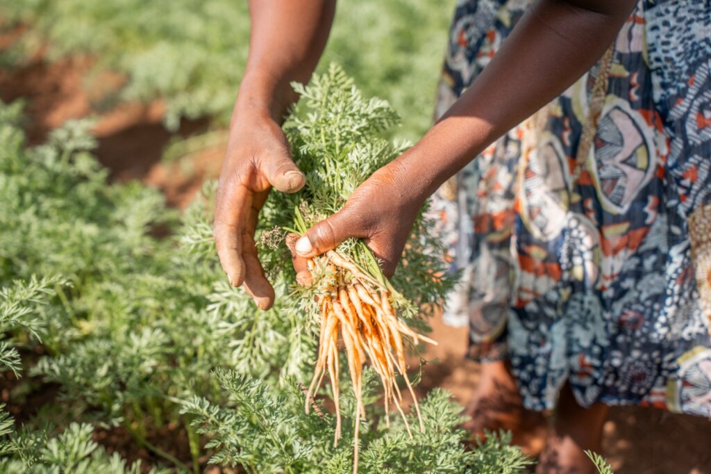 Help 78 Rwandan Women Farmers Double Their Income
