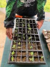 Youth Eco-Agriculture Workshop