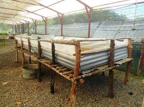 Vermicompost - it is a non toxic, safe fertilizer