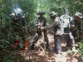 CAPU rangers remove a civet snare