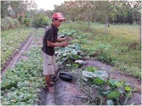 Pich Sophal in his field
