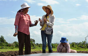 Women working together and sharing knowledge